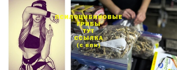 стаф Арсеньев
