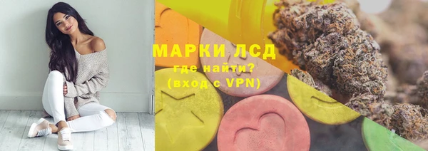стаф Арсеньев