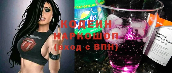 стаф Арсеньев